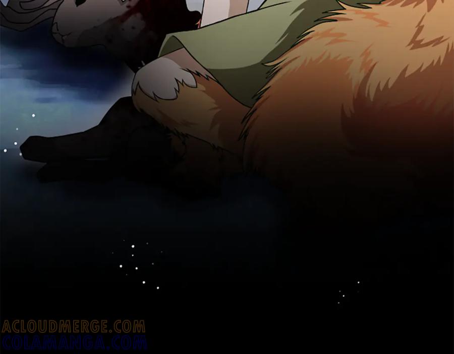 《凡菲尔德的秘密》第37话 缥缈的希望 第17页