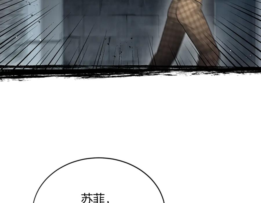 《凡菲尔德的秘密》第38话 悲剧 第20页