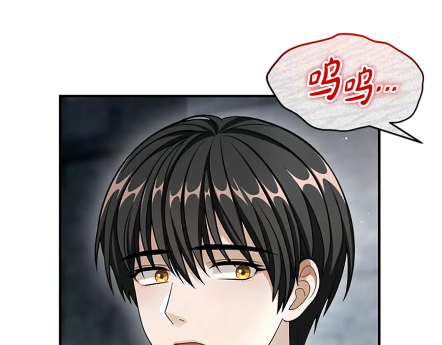 《凡菲尔德的秘密》第38话 悲剧 第36页