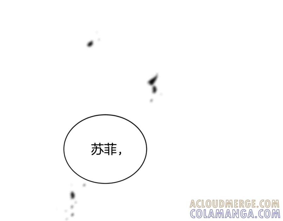 《凡菲尔德的秘密》第38话 悲剧 第193页