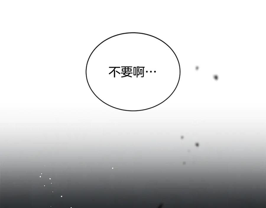 《凡菲尔德的秘密》第38话 悲剧 第195页