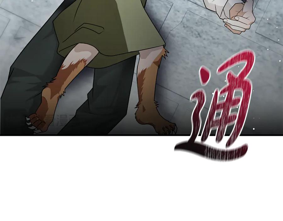 《凡菲尔德的秘密》第38话 悲剧 第151页