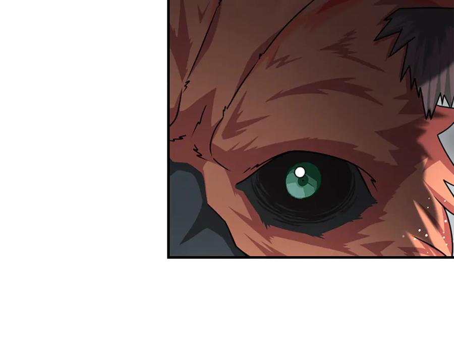 《凡菲尔德的秘密》第38话 悲剧 第147页