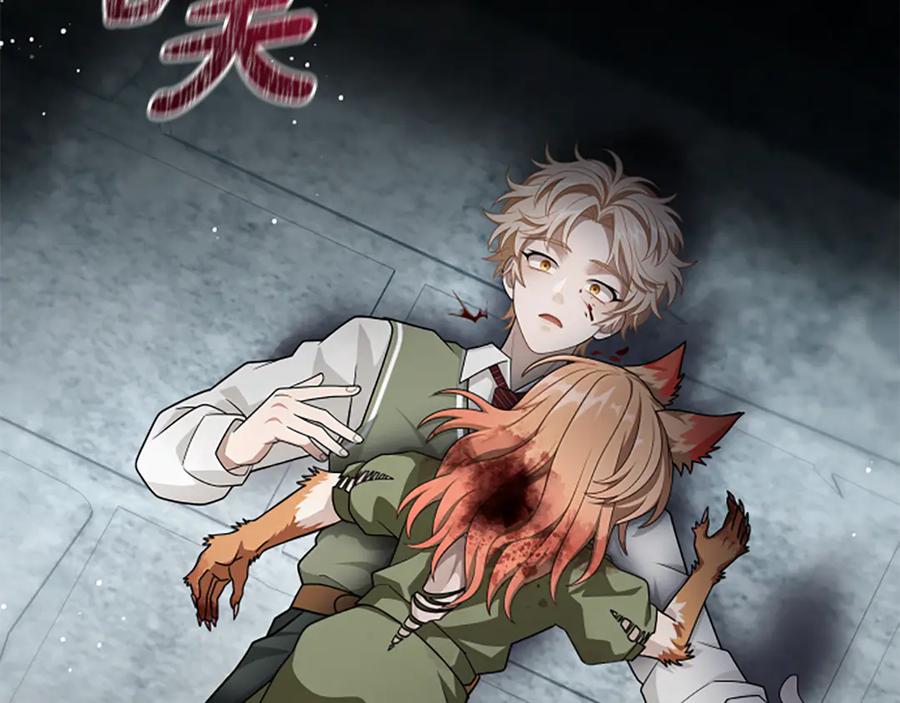 《凡菲尔德的秘密》第38话 悲剧 第150页