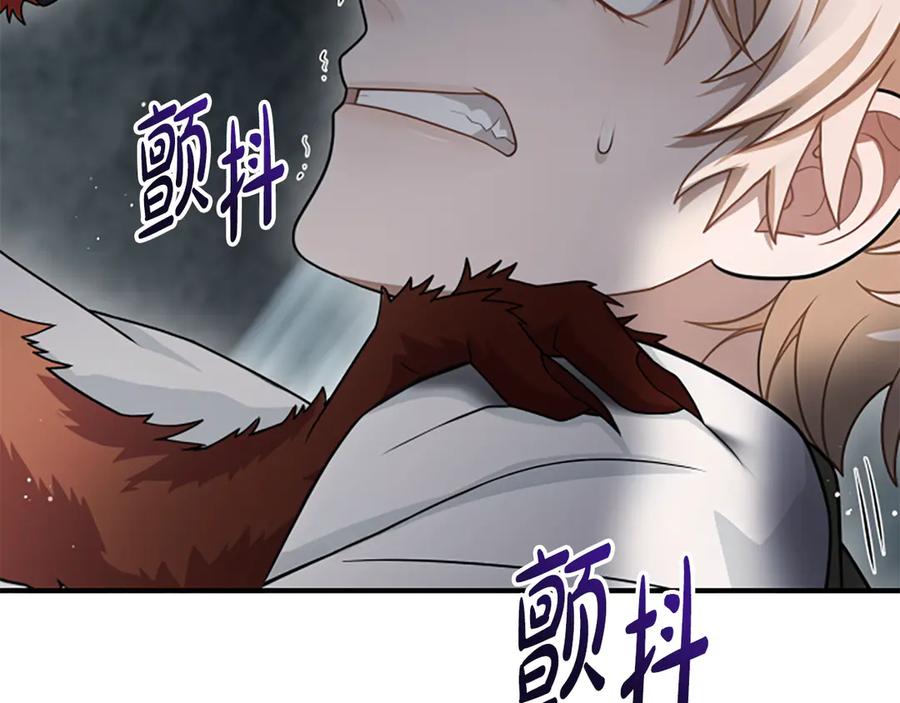 《凡菲尔德的秘密》第38话 悲剧 第132页