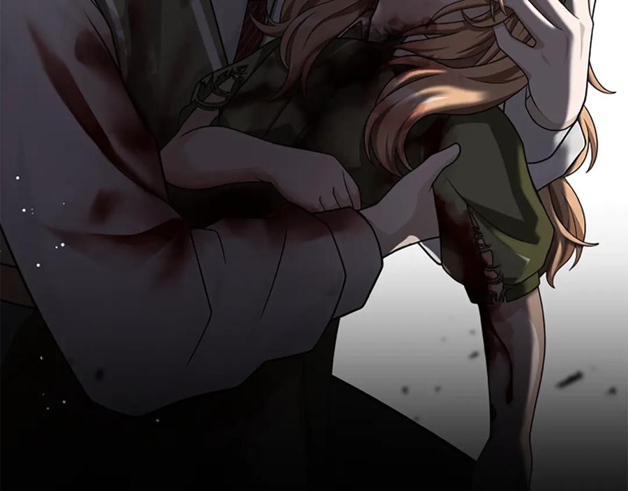 《凡菲尔德的秘密》第38话 悲剧 第204页