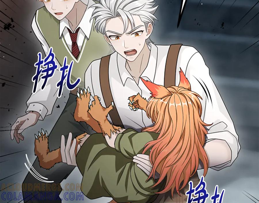 《凡菲尔德的秘密》第38话 悲剧 第13页