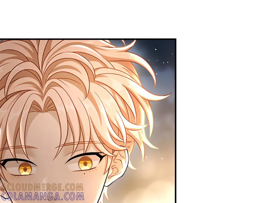 《凡菲尔德的秘密》第39话 审判 第165页