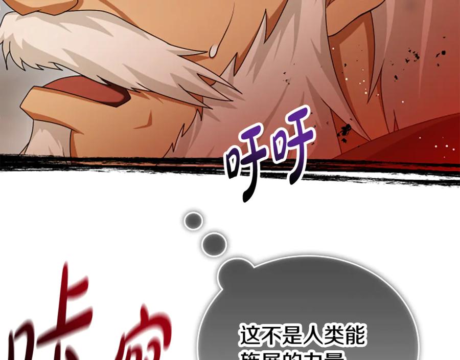 《凡菲尔德的秘密》第39话 审判 第184页