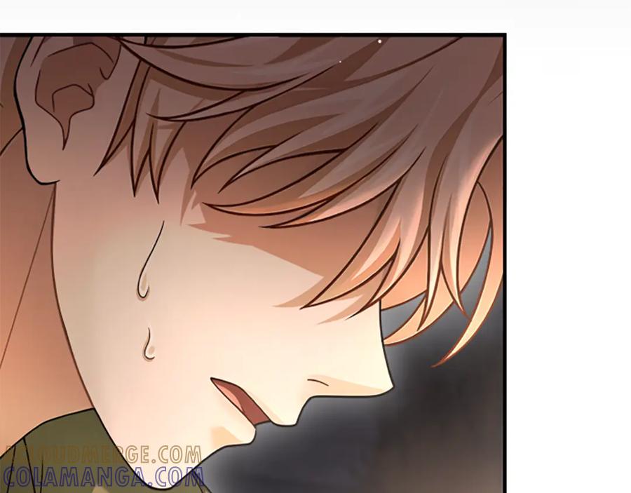 《凡菲尔德的秘密》第40话 悲剧性结局 第129页