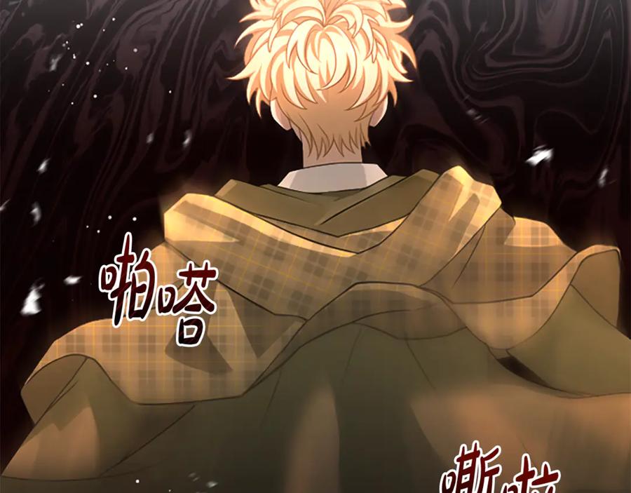 《凡菲尔德的秘密》第40话 悲剧性结局 第91页