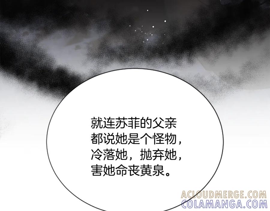 《凡菲尔德的秘密》第40话 悲剧性结局 第101页