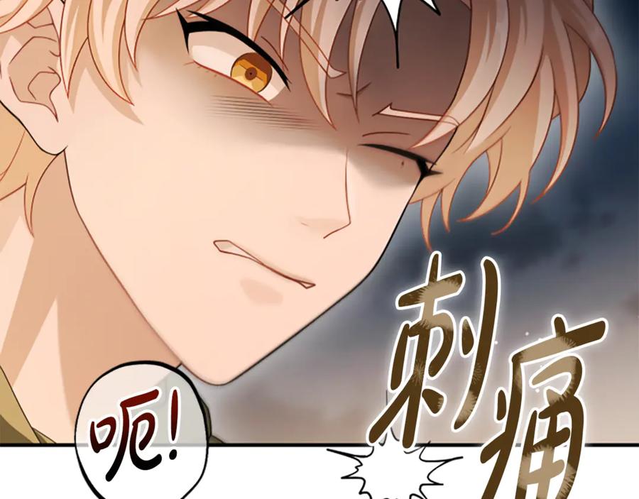 《凡菲尔德的秘密》第40话 悲剧性结局 第63页