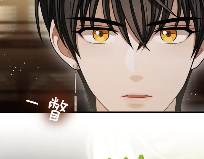 《凡菲尔德的秘密》第42话 问题解决者们 第199页