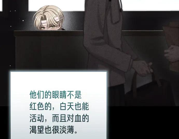 《凡菲尔德的秘密》第49话 安东的计划 第146页