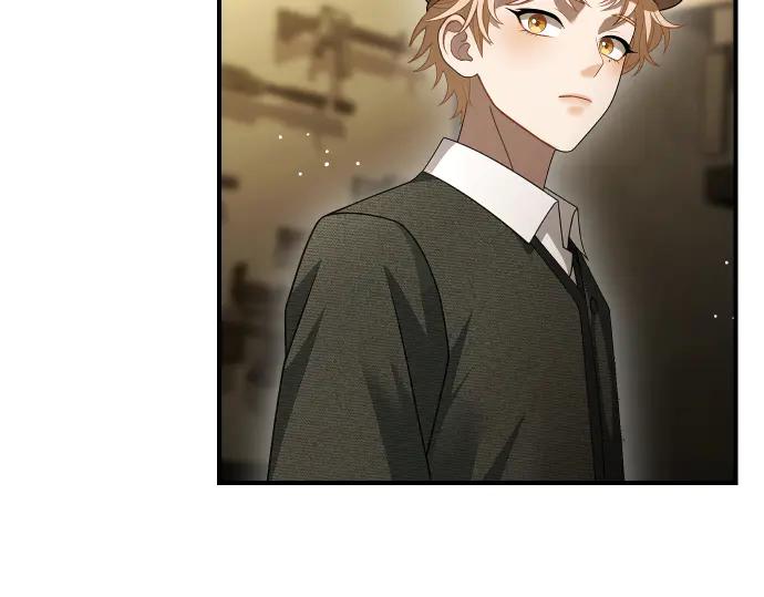 《凡菲尔德的秘密》第49话 安东的计划 第74页