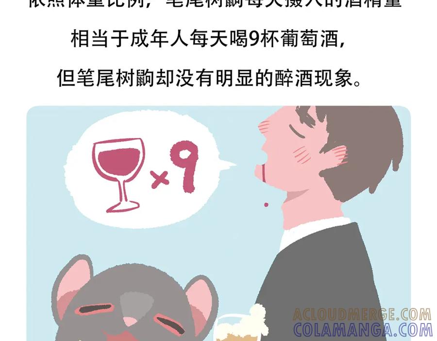 《胖达x胖达》第65话 第33页