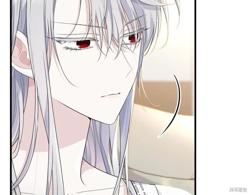 《明明是冷美人小姐却变成了忠犬大少爷》第75话 第40页