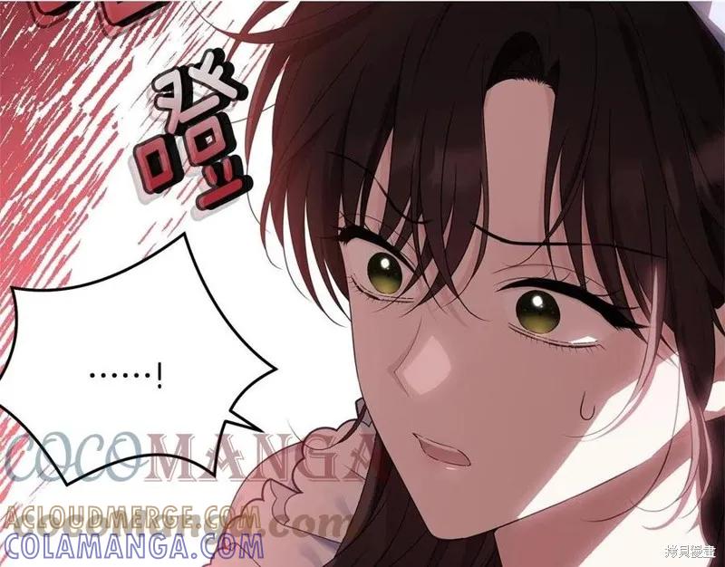 《明明是冷美人小姐却变成了忠犬大少爷》第76话 第77页