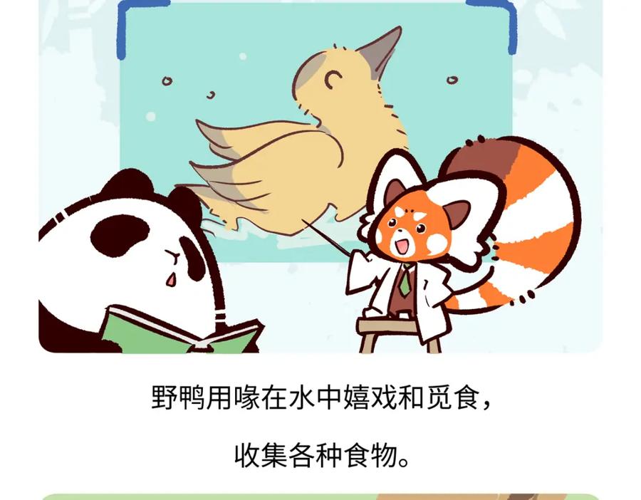 《胖达x胖达》第269话 第20页