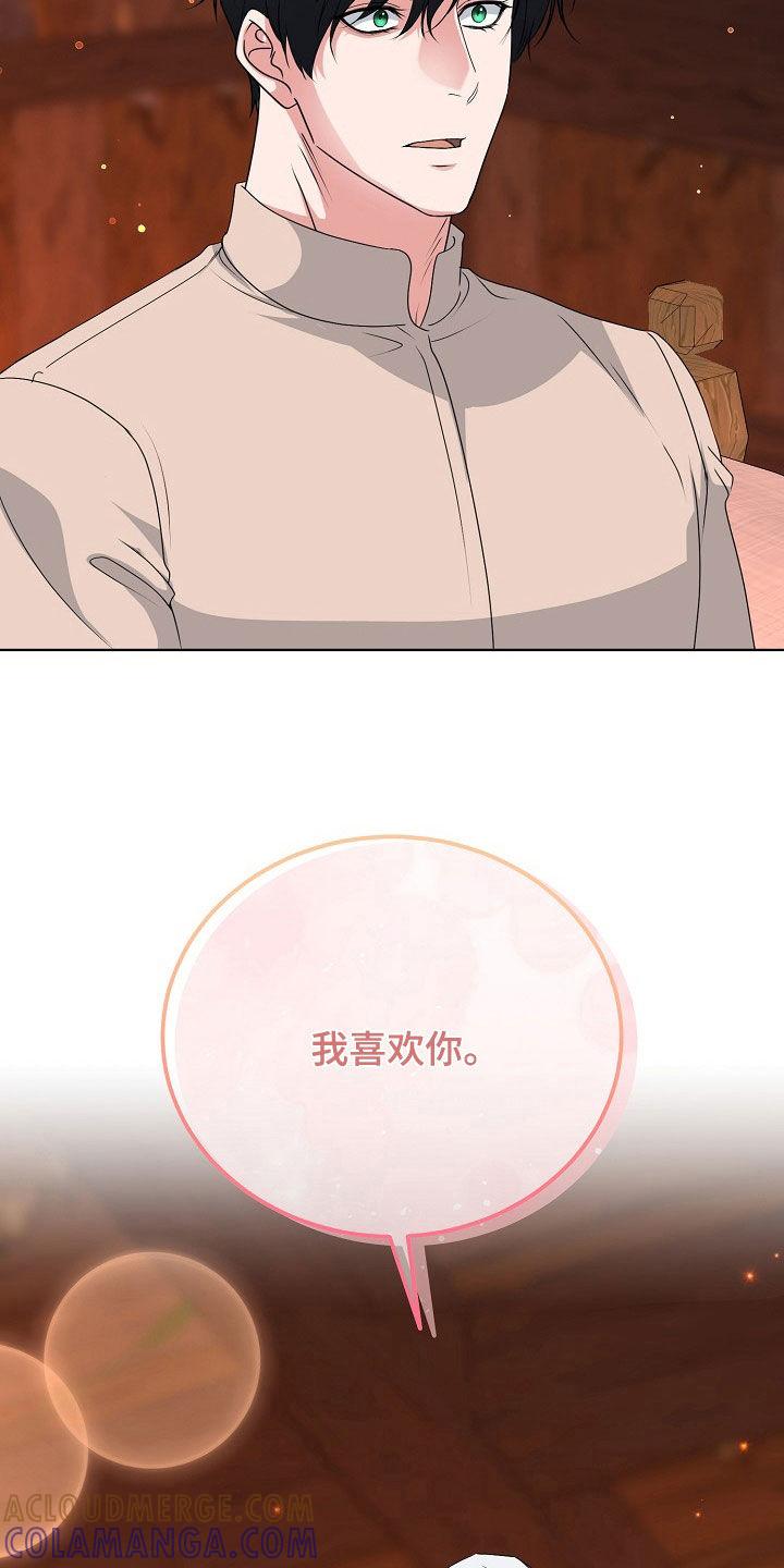 《冒牌恋人》第61章：告白 第13页