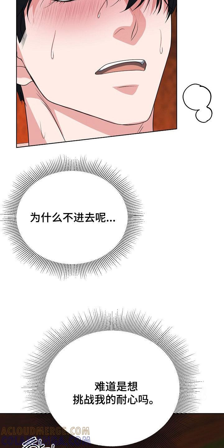 《冒牌恋人》第62章：与众不同 第3页