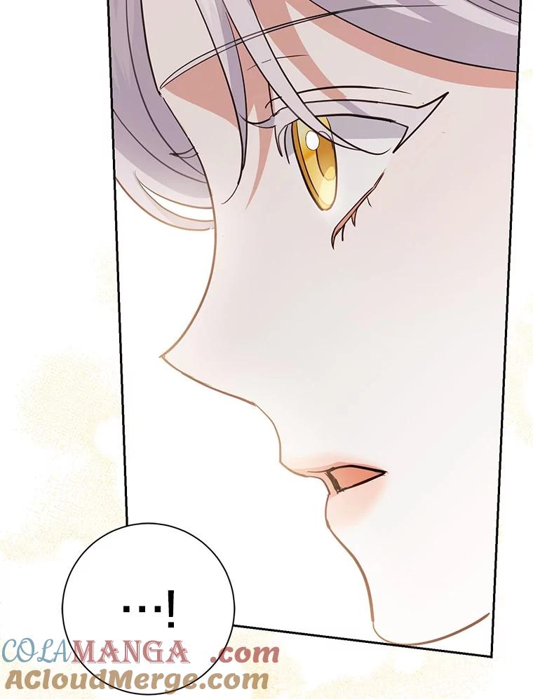 《反派未婚夫阻碍我的花路》11.亮相 第53页
