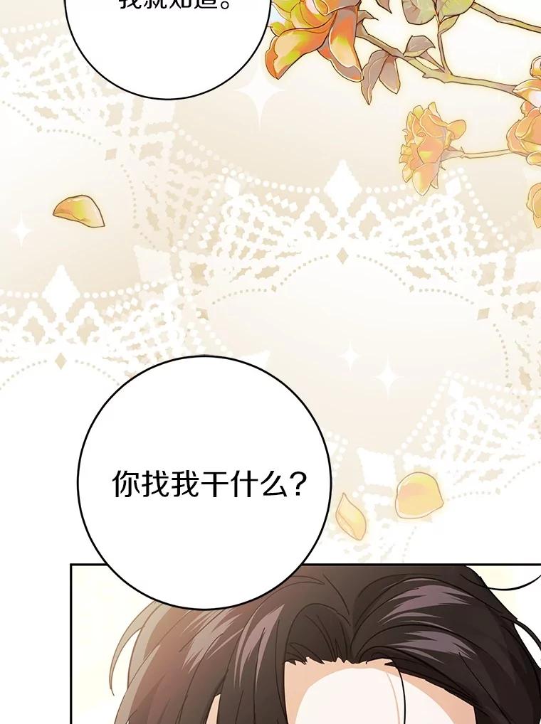 《反派未婚夫阻碍我的花路》11.亮相 第131页