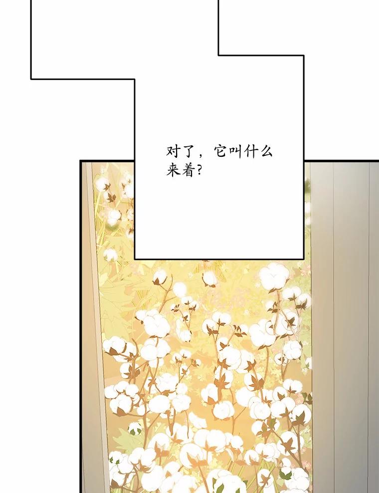 《渴望假妹妹》43.直面真相 第16页