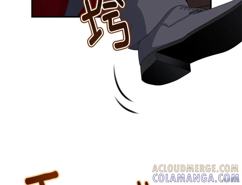 《明明是冷美人小姐却变成了忠犬大少爷》第74话 第9页