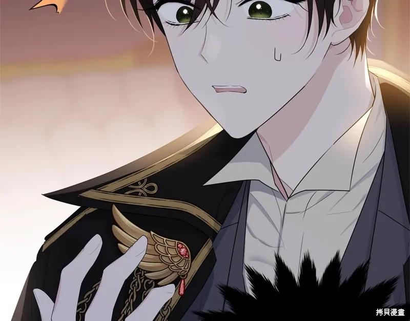 《明明是冷美人小姐却变成了忠犬大少爷》第74话 第11页
