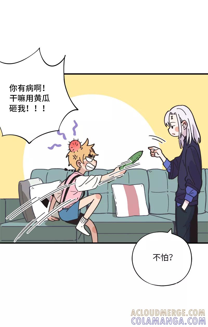 《一本正经防骗指南》番外 胡了，天胡，又胡了 第10页