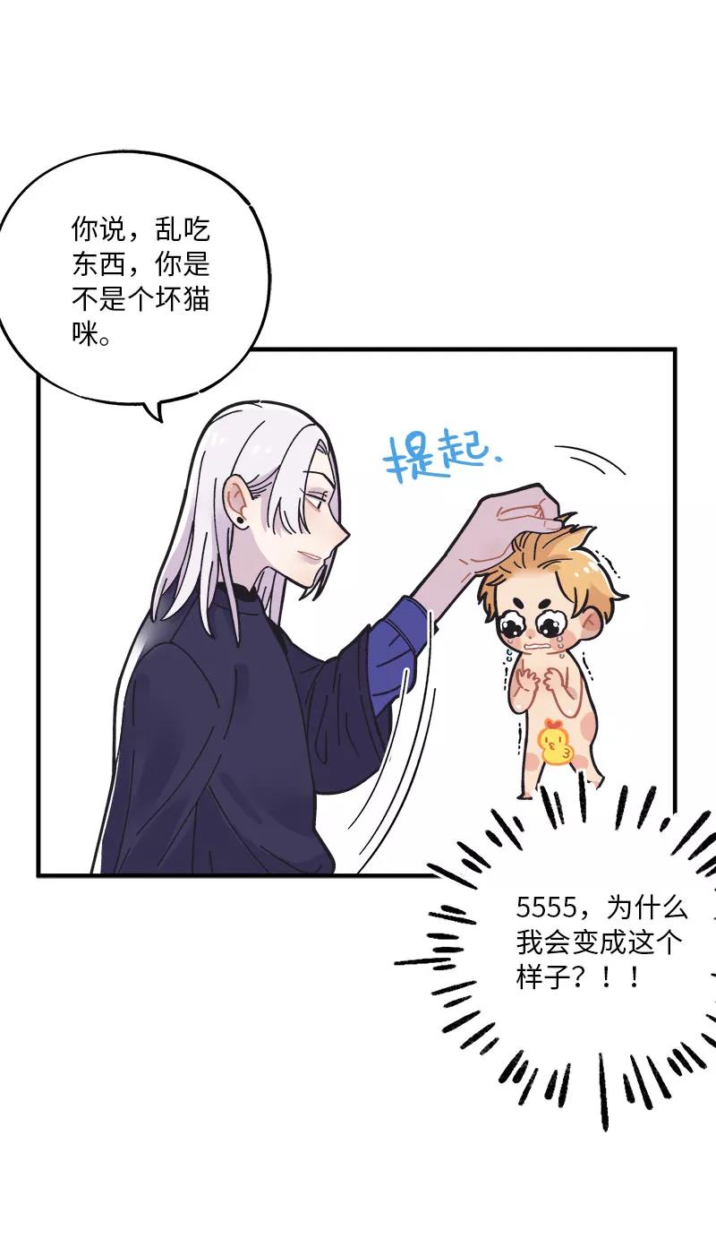 《一本正经防骗指南》番外 胡了，天胡，又胡了 第39页