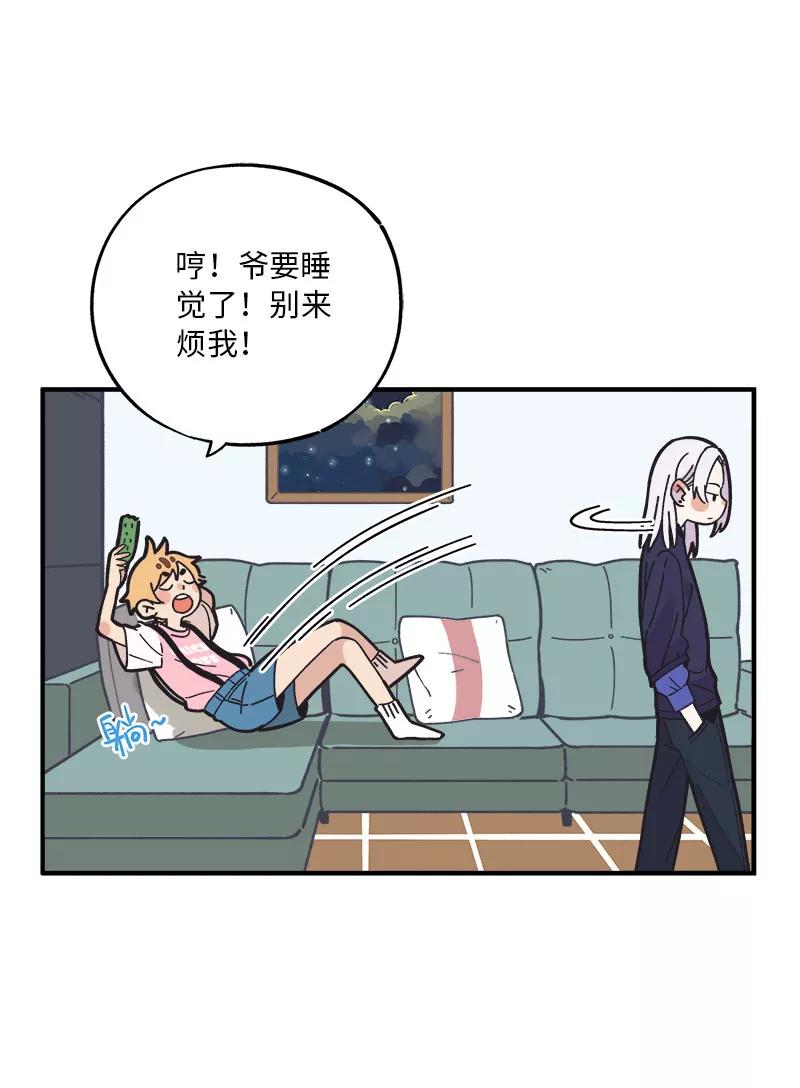 《一本正经防骗指南》番外 胡了，天胡，又胡了 第12页