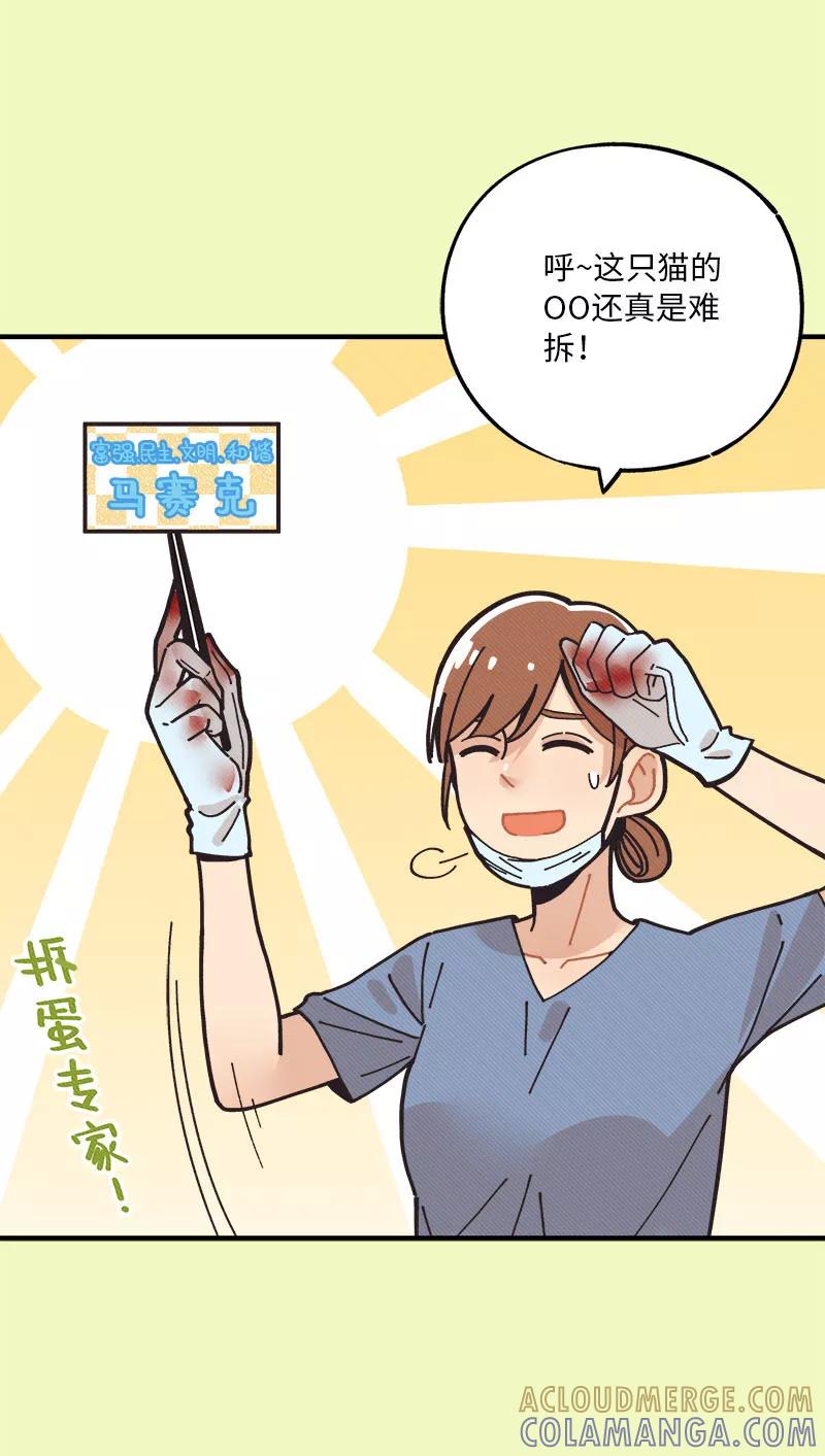 《一本正经防骗指南》第16话 我的00，请刀下留情！ 第31页