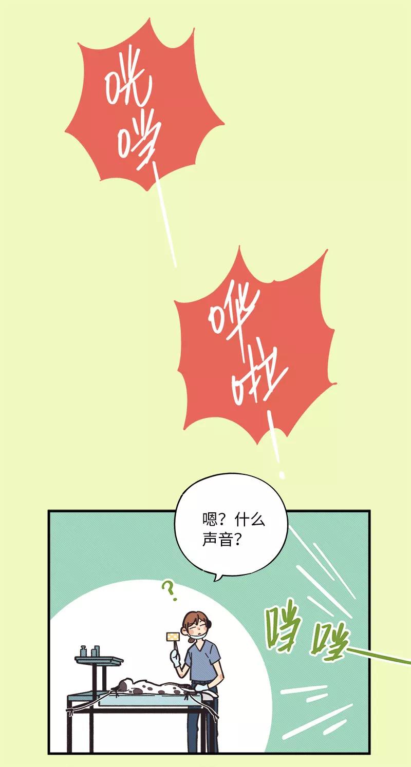 《一本正经防骗指南》第16话 我的00，请刀下留情！ 第33页