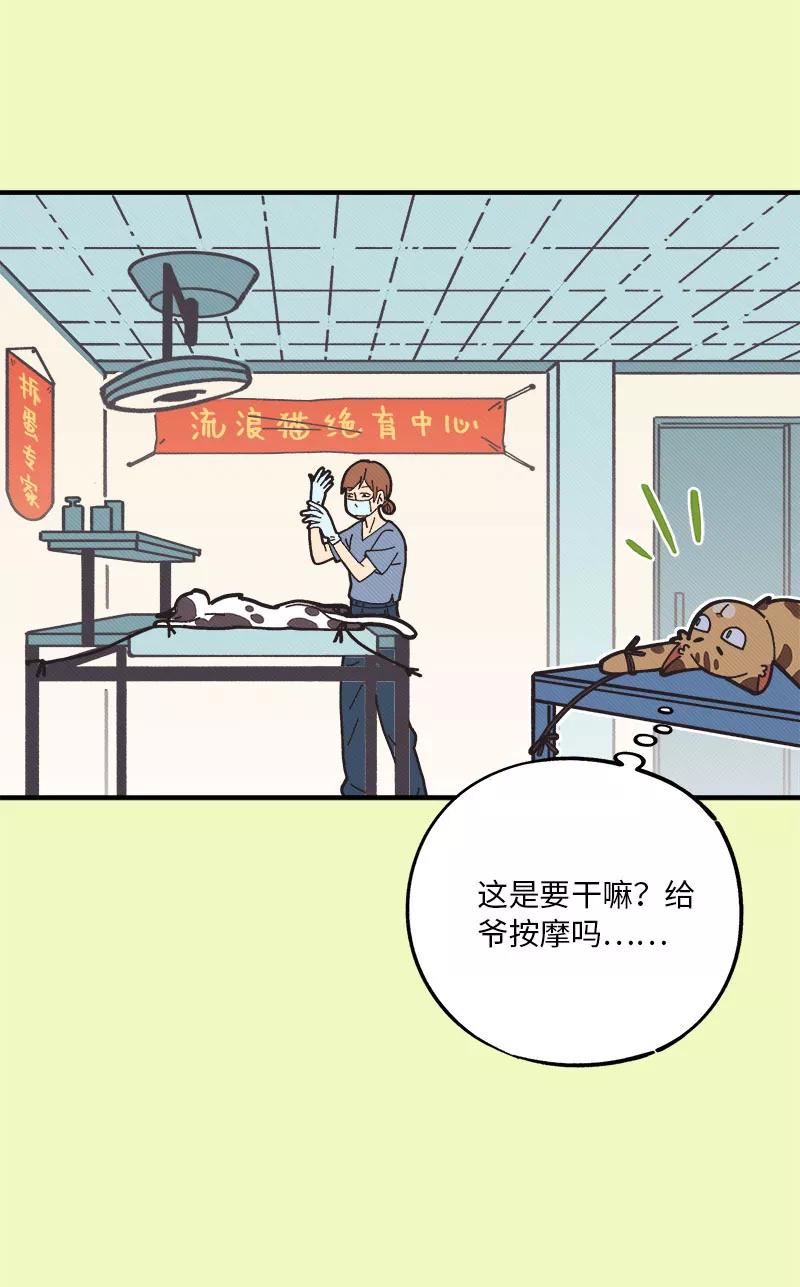 《一本正经防骗指南》第16话 我的00，请刀下留情！ 第29页
