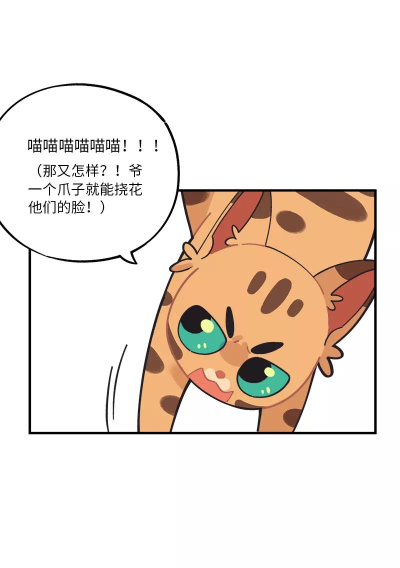 《一本正经防骗指南》第17话 我没有肾，我有舅舅！ 第41页