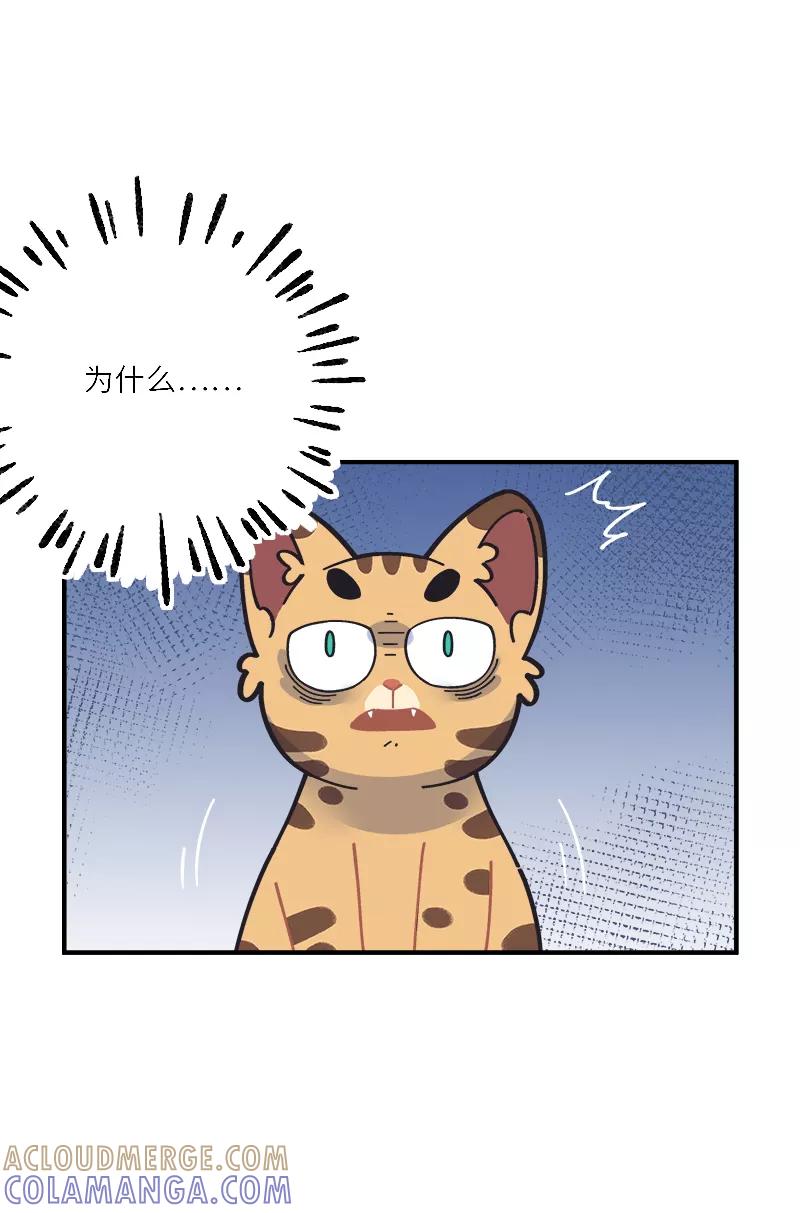 《一本正经防骗指南》第17话 我没有肾，我有舅舅！ 第25页