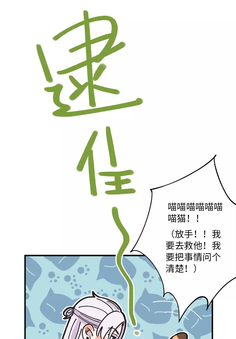 《一本正经防骗指南》第17话 我没有肾，我有舅舅！ 第39页