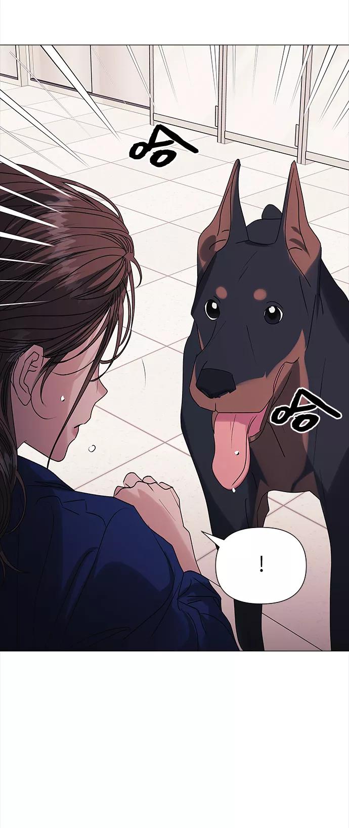 《九死一生罗曼史》第47话 第3页