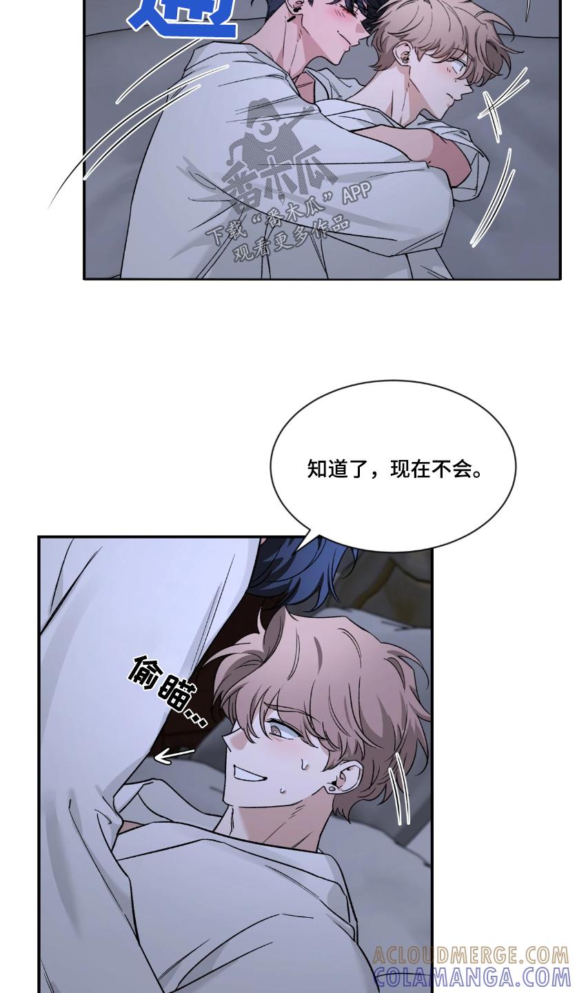 《初见心动》第229章：【番外】是因为喜欢吧 第9页