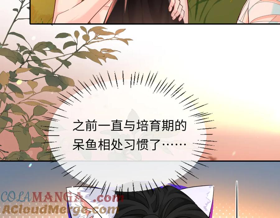 人鱼陷落 第146话 溺爱 第52页