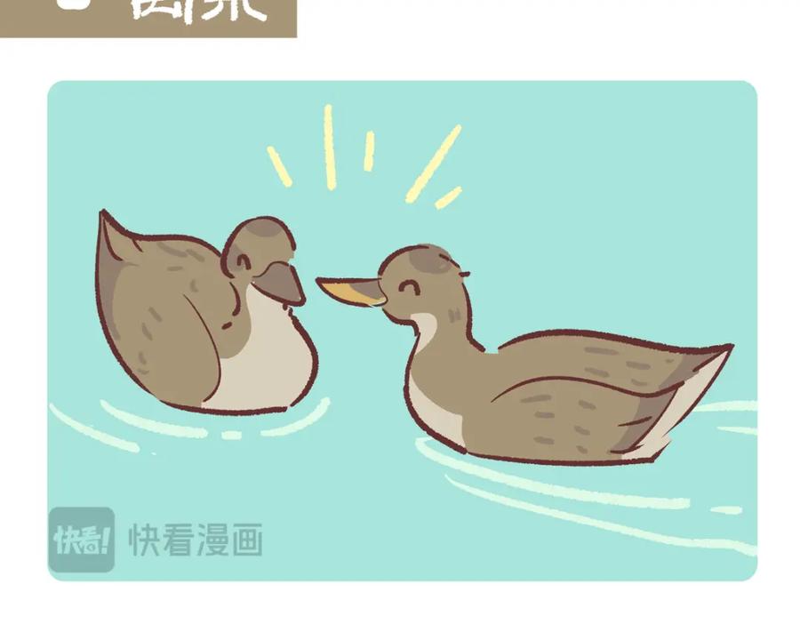 《胖达x胖达》第269话 第14页