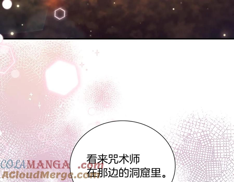 奶萌魔力小公主 番外4 爸爸不会结婚的 第45页