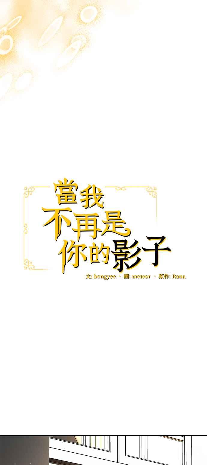 《当我不再是你的影子》第15话 第29页