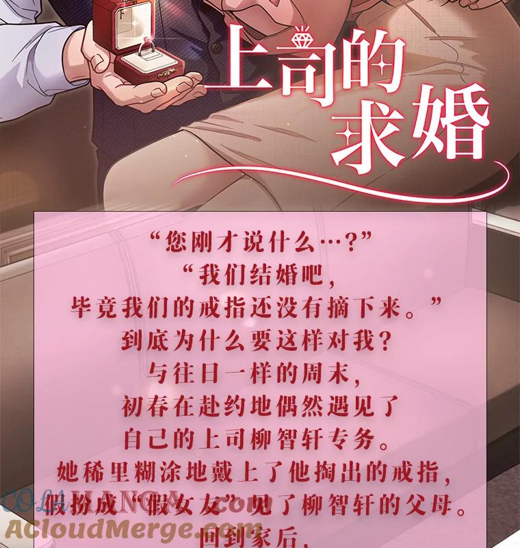 《上司的求婚》新作来袭 第2页