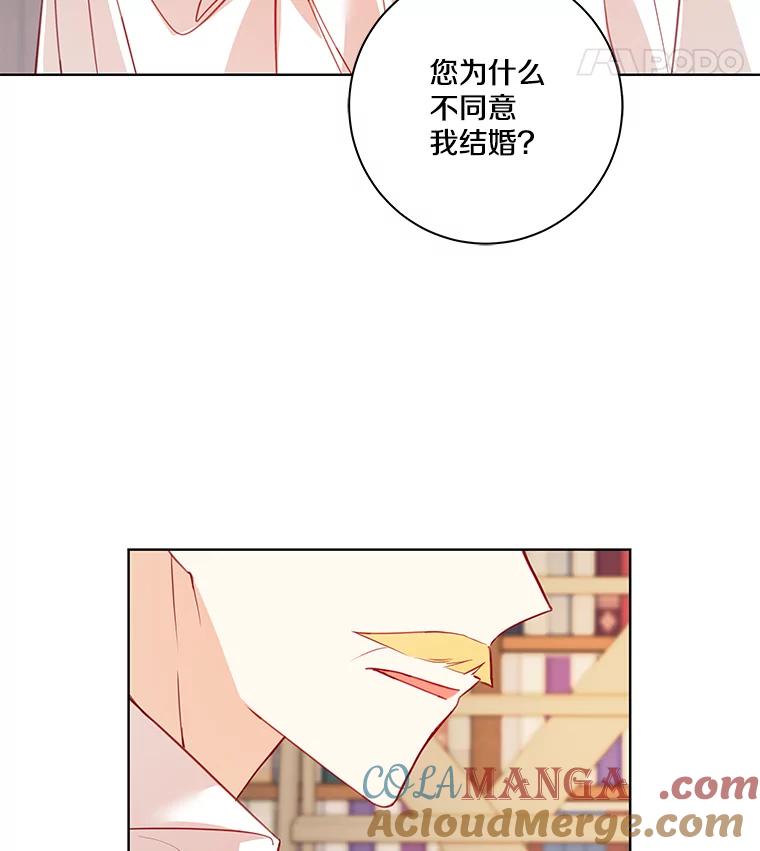 《龙套大公子妃的花路人生》3.我愿意结婚 第105页