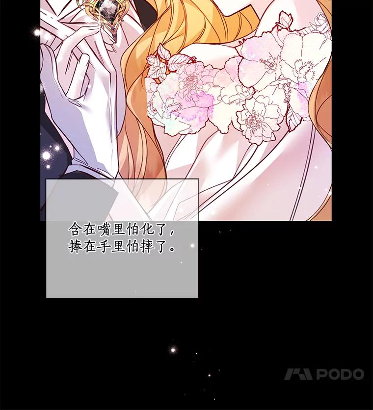 《龙套大公子妃的花路人生》3.我愿意结婚 第68页