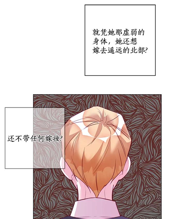 《龙套大公子妃的花路人生》3.我愿意结婚 第102页